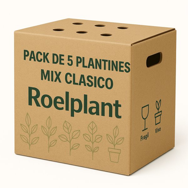 Imagen de producto
