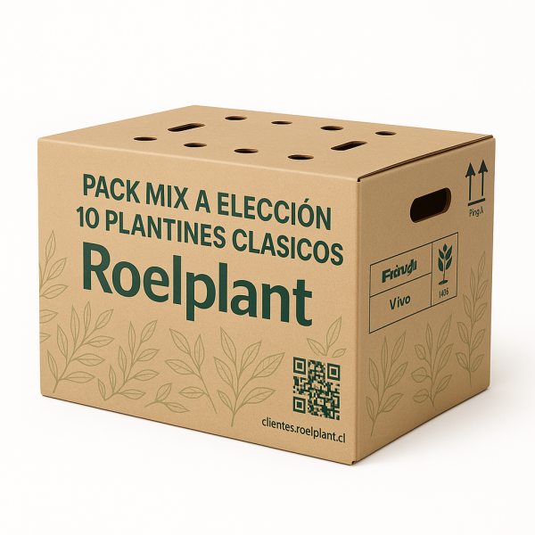 Imagen de producto