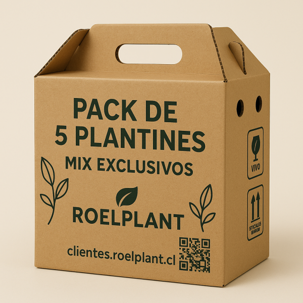 Imagen de producto