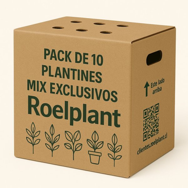 Imagen de producto