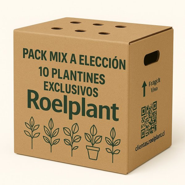 Imagen de producto