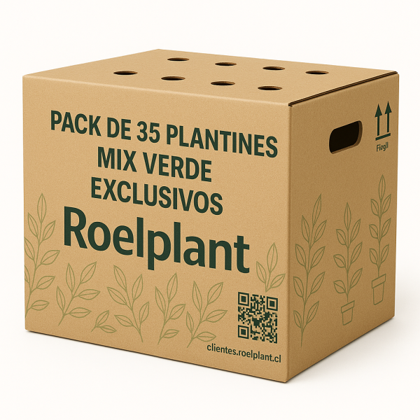 Imagen de producto