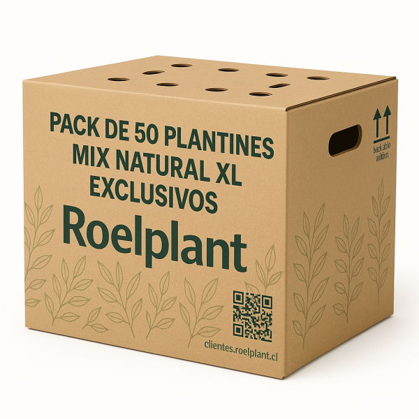 Imagen de producto
